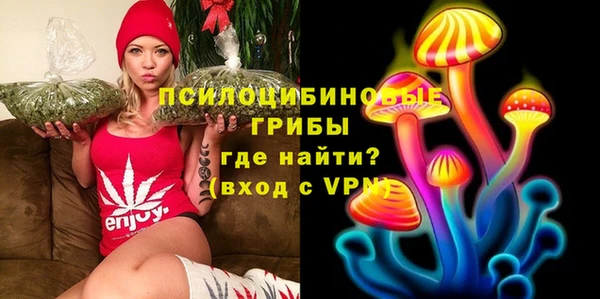 PSILOCYBIN Семилуки