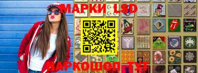 шишки Гай